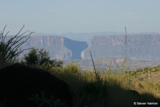 burro_spring_santa_elena