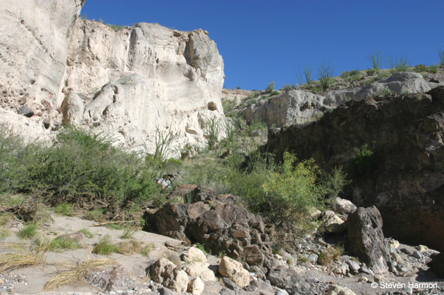 tuff_canyon_1